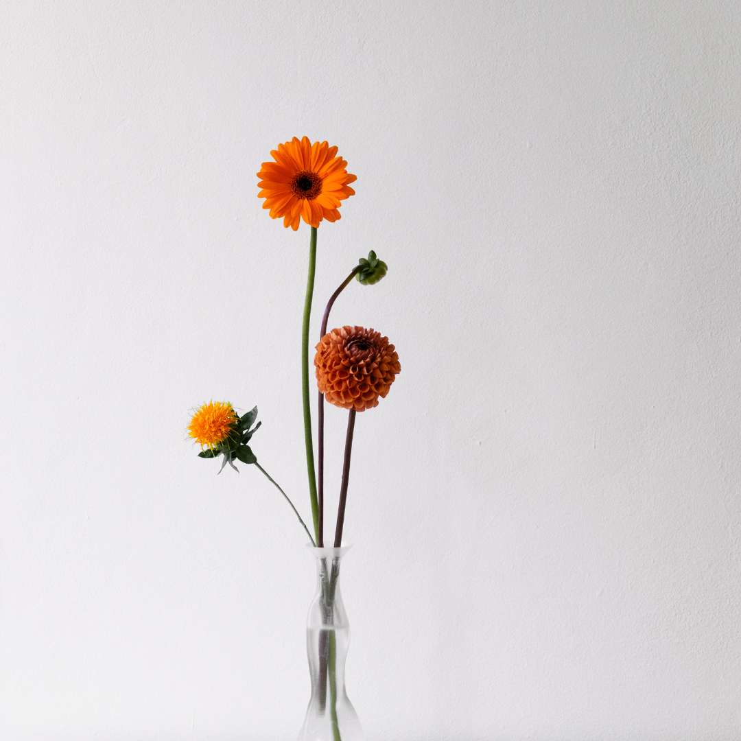 5 Spring Home Decor Ideas to Refresh your Space this Season