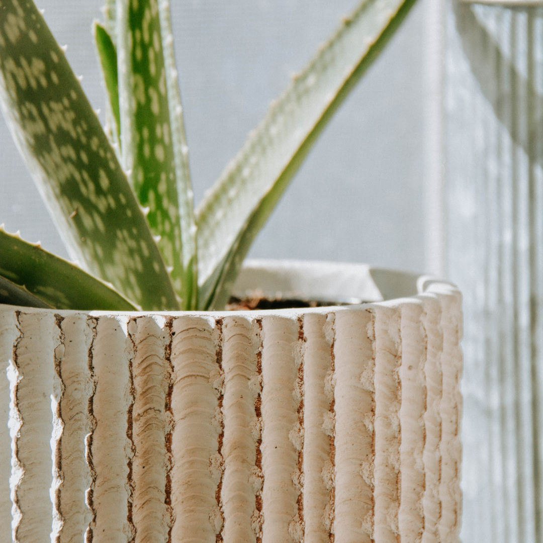 How to Protect Your Skin From the Sun During Summer With Natural Ingredients